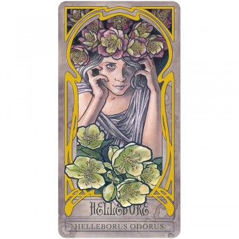 Lady Stirling's Wicked Garden orakulo kortų ir knygos rinkinys US Games Systems